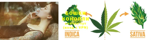 крисы Козловка