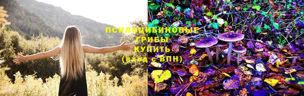 индика Пролетарск